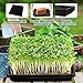 5 Pack Garden Plant Growing Trays Without Holes - 10