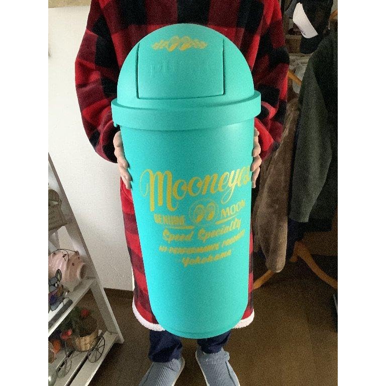 Amazon｜ムーンアイズ 45L ダストボックス エメラルドグリーン