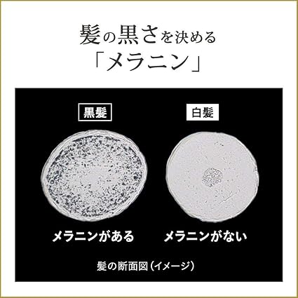 Amazon リライズ 白髪用髪色サーバー グレーアレンジ ふんわり仕上げ 本体 155g 白髪染め 通販