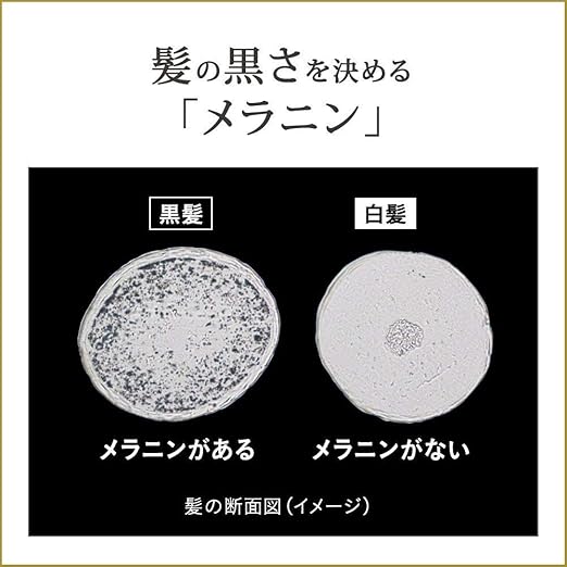 Amazon リライズ 白髪用髪色サーバー リ ブラック ふんわり仕上げ つけかえ用 190g 白髪染め 通販