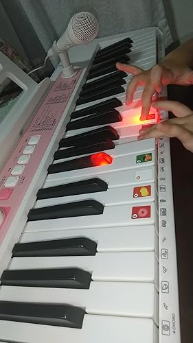 カシオ CASIO 電子キーボード LK-312 内蔵曲120曲　電子ピアノ LK-312 | 光ナビゲーションキーボード | 電子楽器 | CASIO