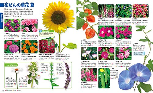 花図鑑のおすすめ選 子供 大人向けや海外のおしゃれな本も紹介 レキシル Rekisiru