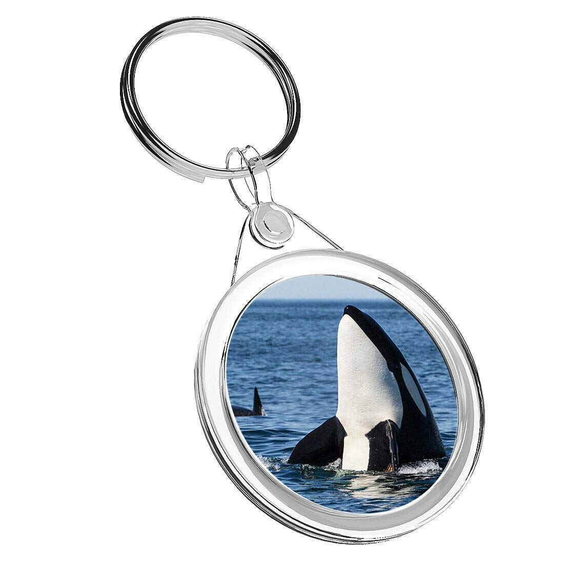 Destination Vinyl Keyrings 1 x Ocean Killer Whale Orca - Keyring IR02 Mum Dad Birthday #14212