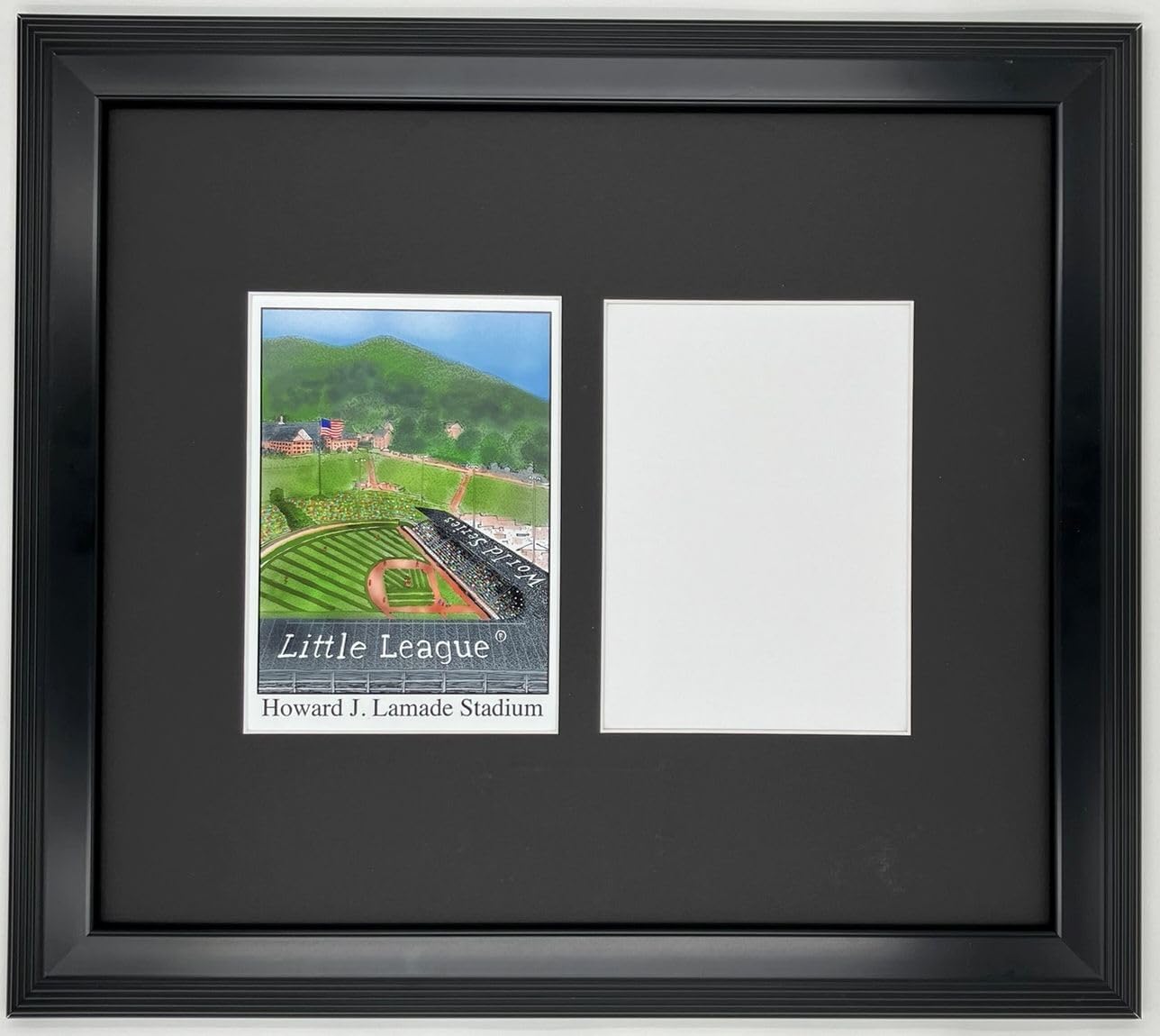 Team Up with Howard J. Lamade Stadium! Framed and Matted Personalized Picture. Just Add Your Photo!