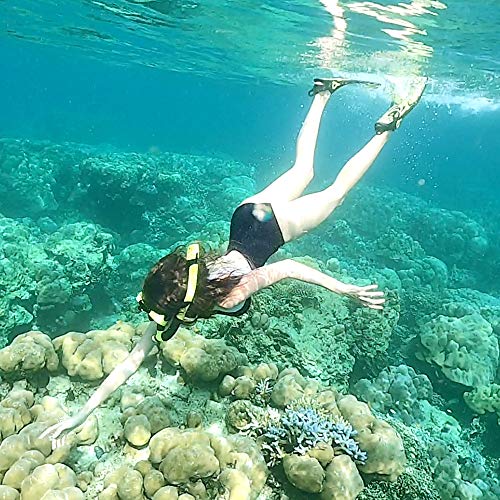 image for FinaTider 2020 New Snorkel Mask Diving Mask Panoramic Wide View Watert