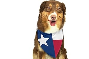Texas Bandana: Show Your State Pride with Our Dog Scarf Accessory