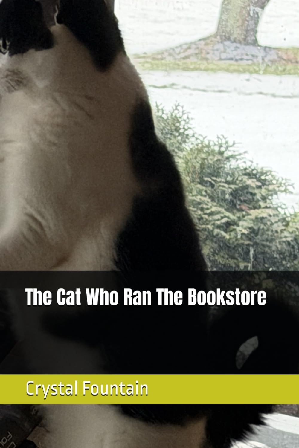 The Cat Who Ran The Bookstore