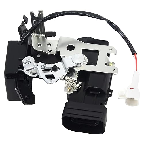 Conjunto de bloqueo de la puerta trasera de la puerta trasera del portón trasero compatible con Toyota Sequoia 2001-2007 Sustituye a 69301-0C010