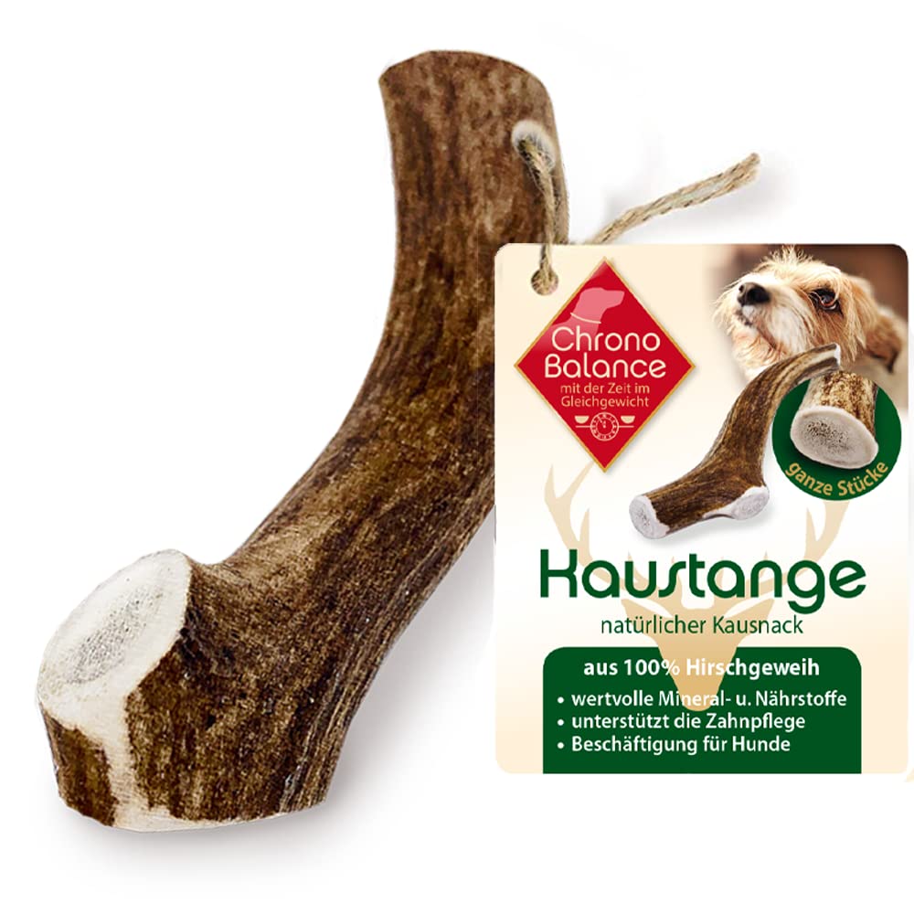Chronobalance Xxl Deer Antler Chew Stick For Dogs Natural Chew