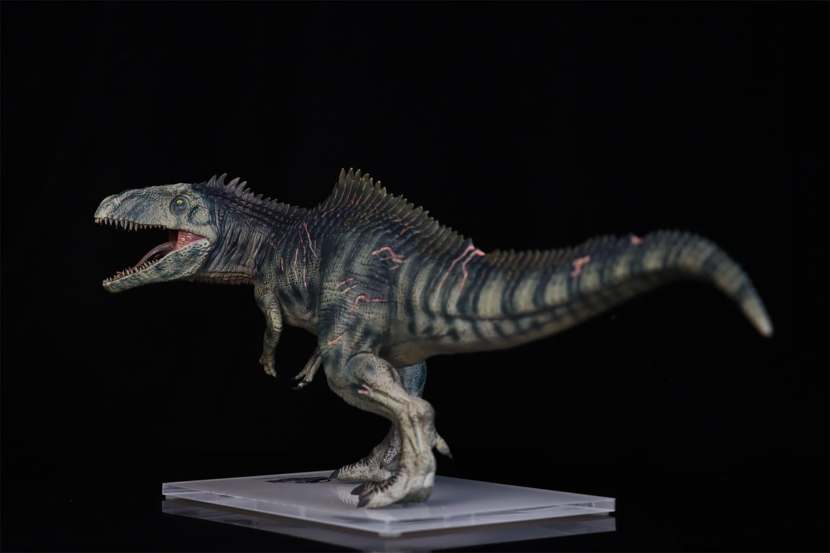 Amazon | DINO DREAM 1/30 サイズ ギガノトサウルス 限定版 44.5cm級