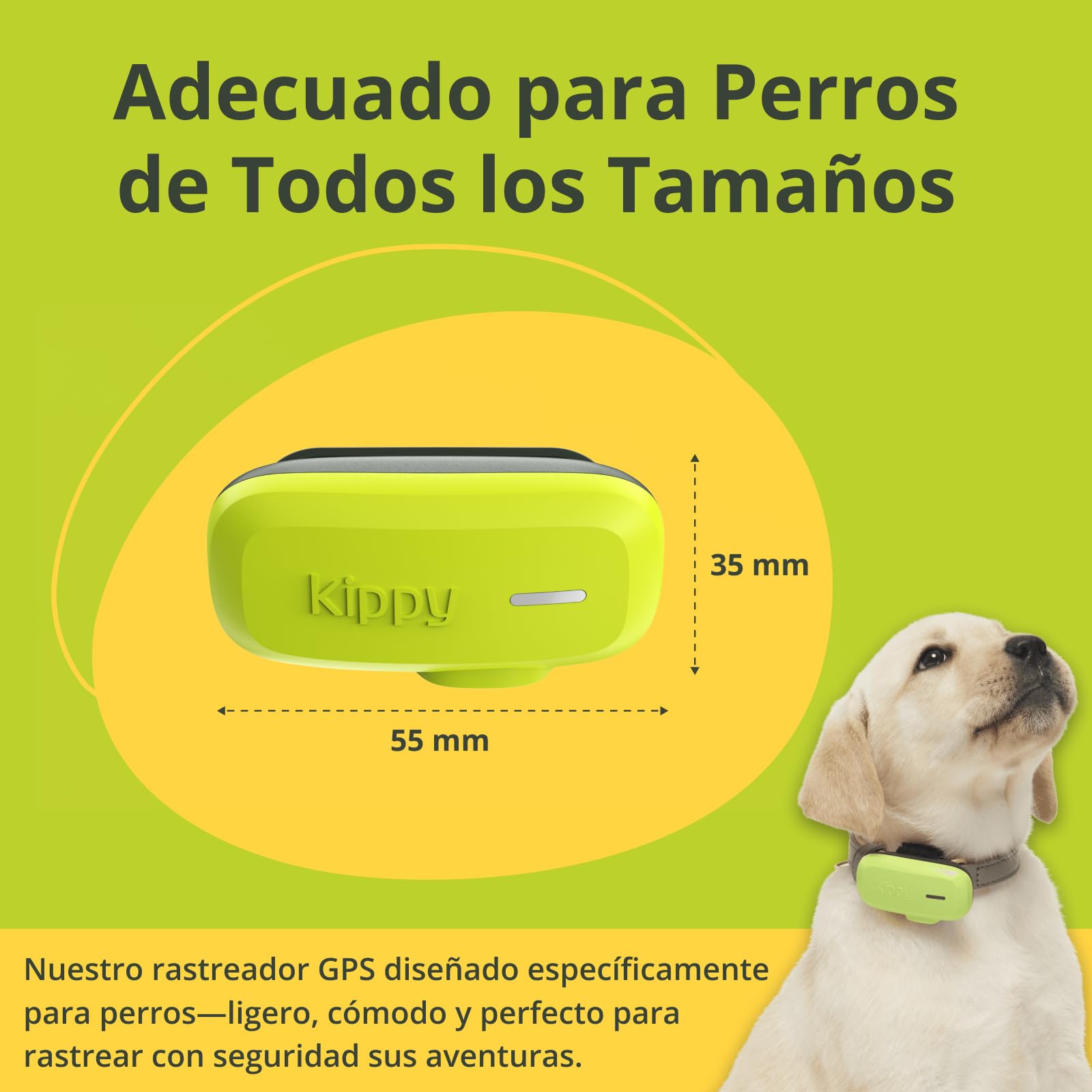 Kippy Bundle GPS para Gato V2 y Perro - Pack de 2, 1 Collar para Gato V2 y 1 para Perro - Seguimiento de Salud y Actividad