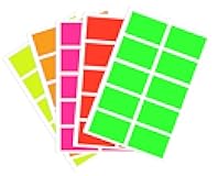 Royal Green Rectangular Color-Code Labels 2 inch x 1.2 inch Neon Stickers Inventory for Labeling, 100-Pack (5 Neon Colors)