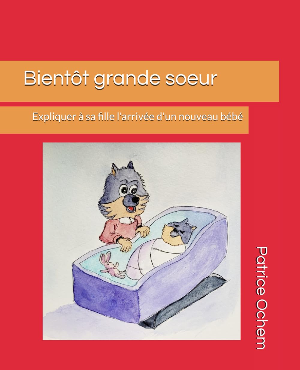 Bientôt grande soeur: Expliquer à sa fille l'arrivée d'un nouveau bébé