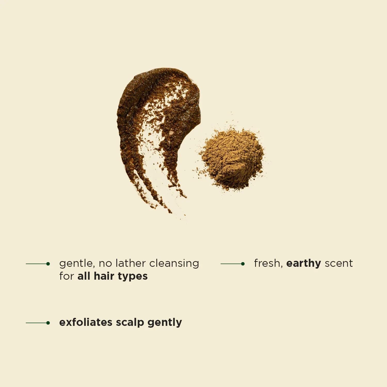 Saka Organics Herbal Shampoo Powder with Soapnut 200g Pack of 2 1