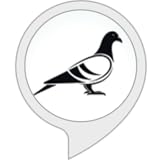 Erbacci LTD
