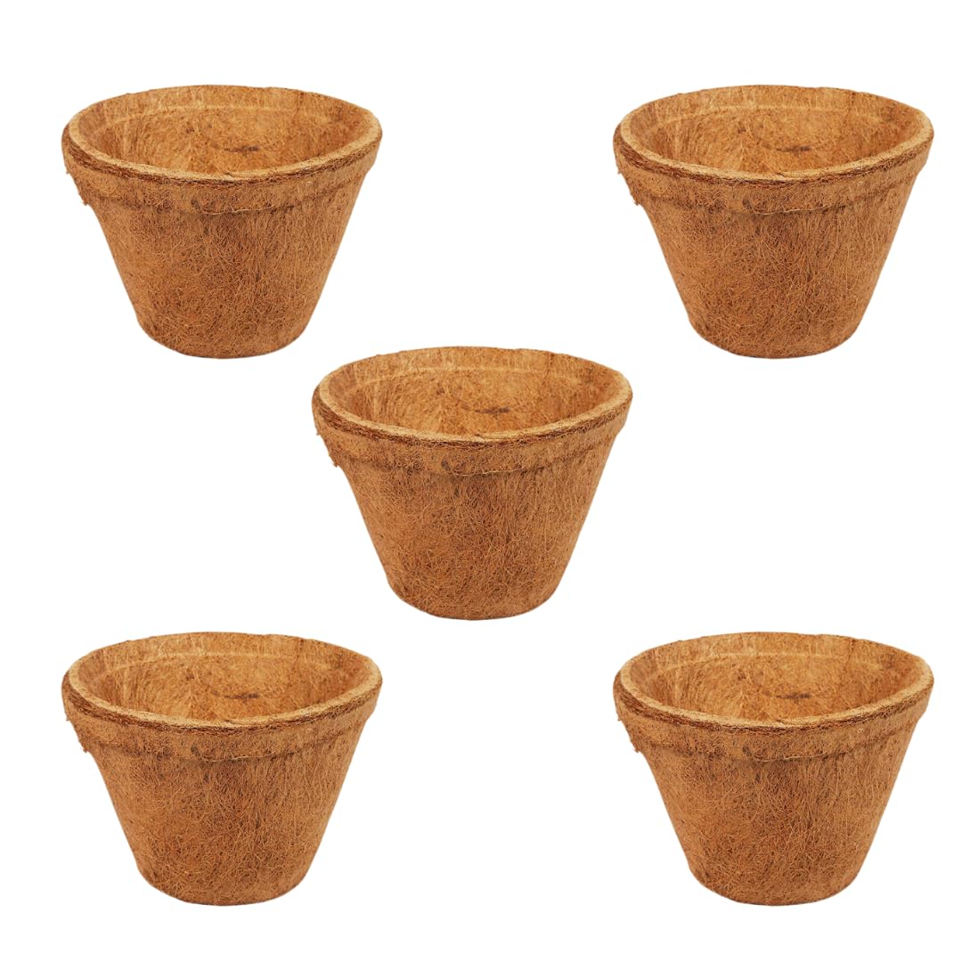 M-Tech Gardens Coco Coir Pot Eco-Friendly and Bio-Degradable Planter Pot (8 inch Size - Set of 5)