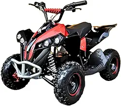 Mini Quadriciclo a Gasolina para crianças - 49cc 0km C/Nota Fiscal - DSR (Vermelho)