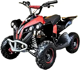 Mini Quadriciclo a Gasolina para crianças - 49cc 0km C/Nota Fiscal - DSR (Vermelho)