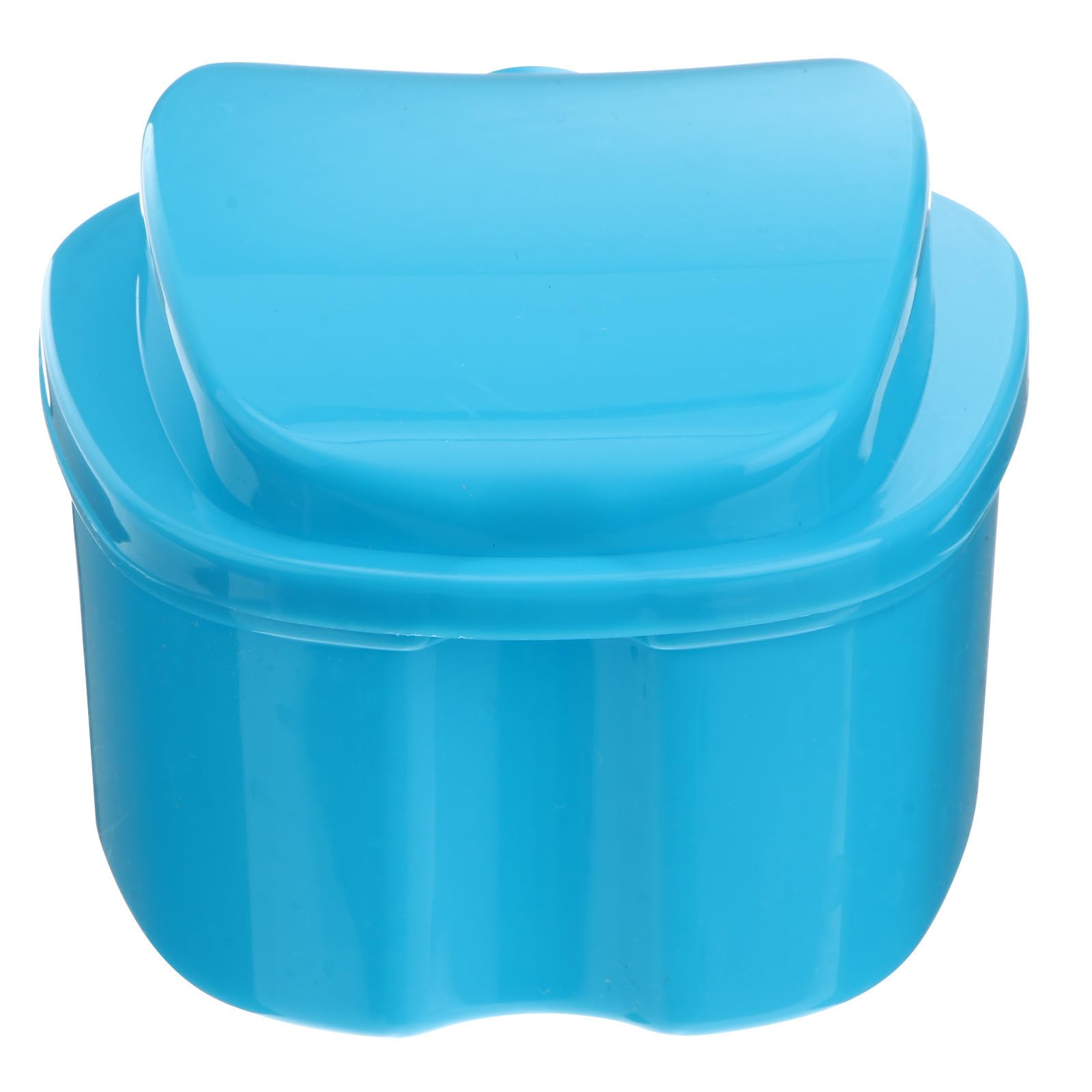 Pp Boîte Bleu Mini Prothèse Dentaire avec Filet en Suspendu