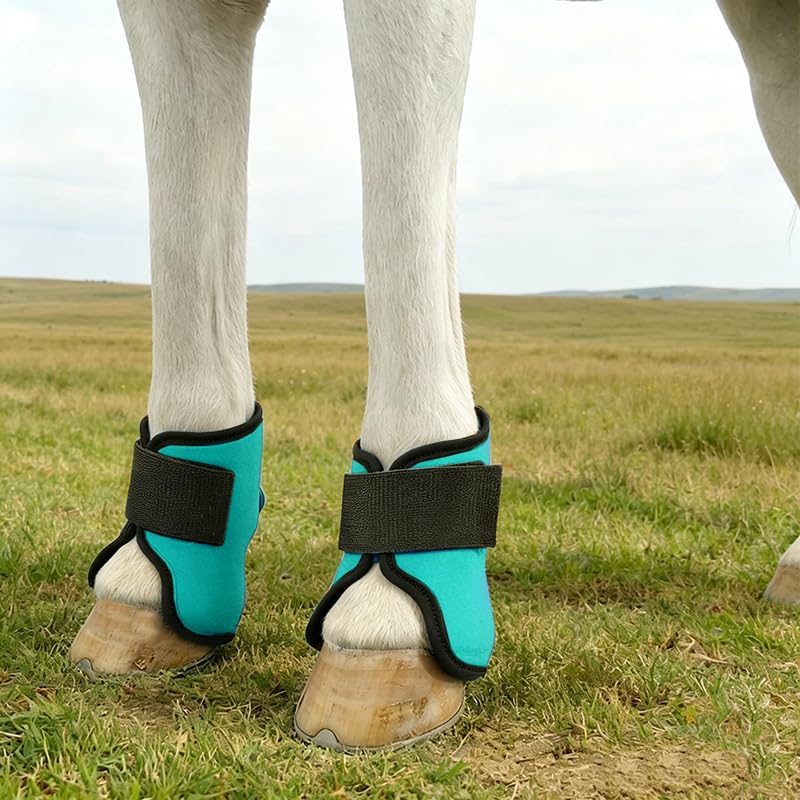 KALASONEER Bedsore Boots for Horses – Neoprene Stall Boots for Bed Sores, Cast Sores, and Wound Healing – Breathable, Padded, Adjustable (Blue:Set of 4)