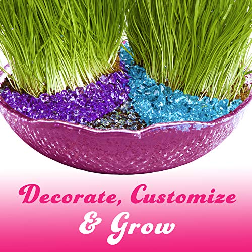 Little Growers Fairy Garden Craft Kit with Enchanted Unicorn and Light-Up Fairy Lights - Paint, Plant and Grow Your Very Own Fairy Garden Arts and Crafts Kit - for Kids All Ages Both Girls and Boys