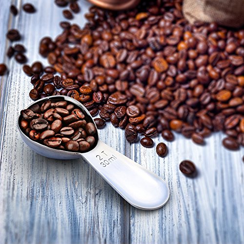 1Easylife Endurance 18/8 Stainless Steel Coffee Scoop, 2 Tablespoon (30ML) Exact, Pack of One