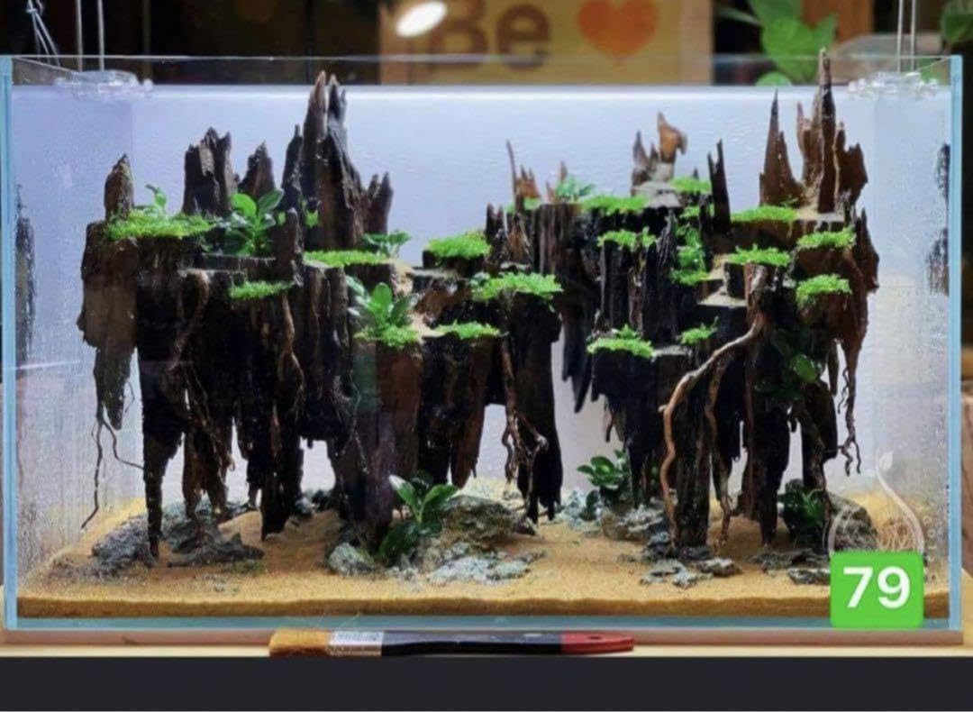 Amazon.co.jp: 流木 ブランチウッド 流木アクアリウム パルダリウム