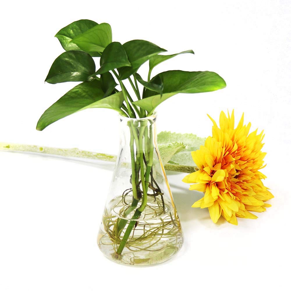 ULAB Scientific UEF1028 Erlenmeyer Lot de flacons en verre à goulot étroit 3 tailles 150 ml 250 ml 500 ml 3.3 borosilicate avec graduation imprimée