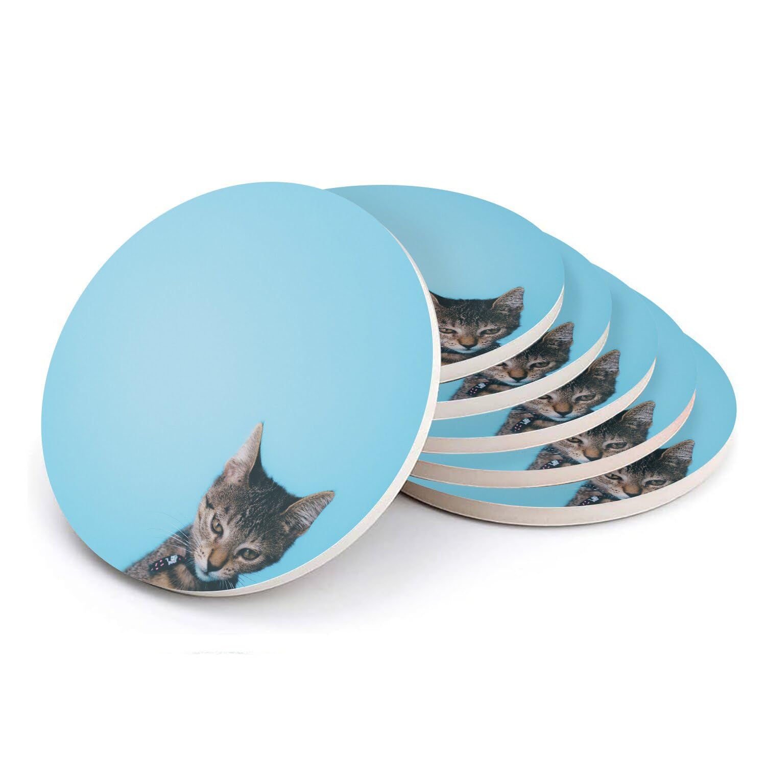 Sous-verre ronds en céramique chaton mécontent, cadeau idéal pour amoureux des chats