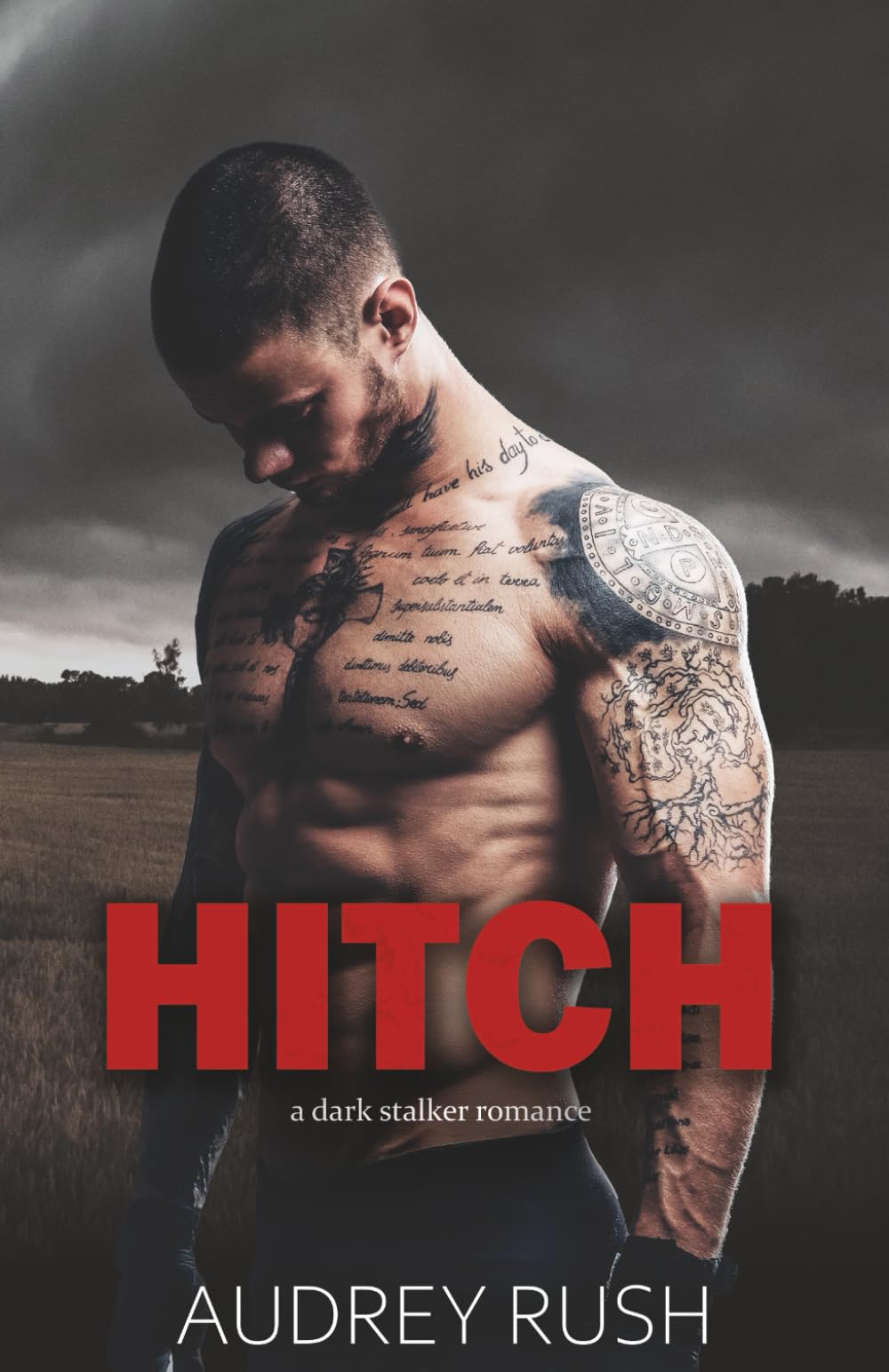 Hitch: A Dark Stalker Romance