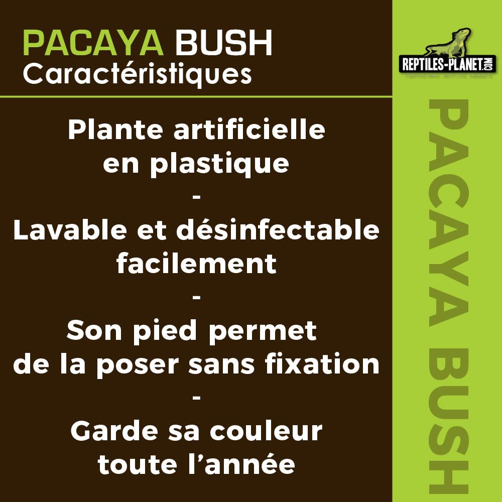 REPTILES PLANET - Pacaya Bush- Plante Artificielle - Décoration pour Terrarium - 20 cm