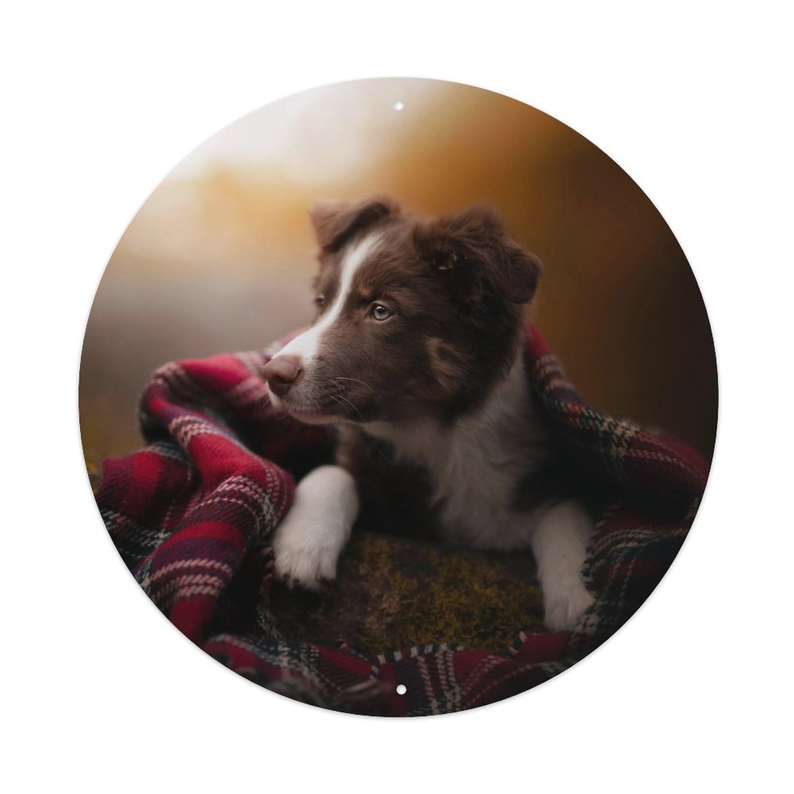 Animal Cute Puppies Metal Tin Sign