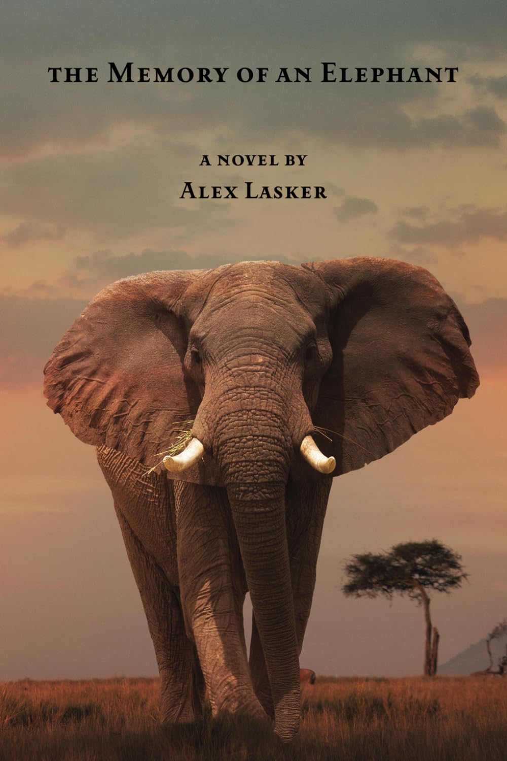 The Memory of an Elephant Paperback – April 18, 2024