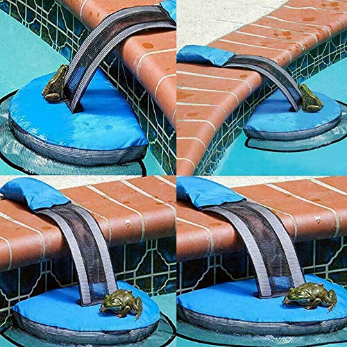 X&L Pool Escape Ramp Kikker Log Critter Eekhoorn Dierlijke Saver - Image 4