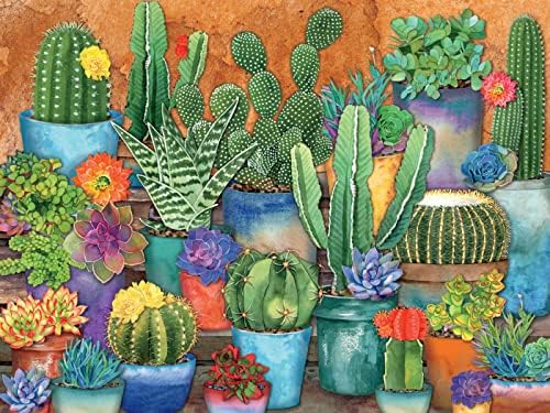 Ceaco – Succulents – Succulent Synergy – Oversized 300 Piece Jigsaw Puzzle