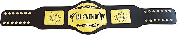 sszhixin Taekwondo Championship Belt, Custom Championship Taekwondo Belt Championship Wrestling Belt Adult Size Personalized Championship Leather Belt