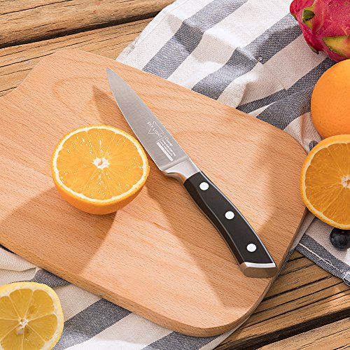 SKY LIGHT Paring Knife Fruit Knife Peeling Knife 4 Inch German HC Stainless Steel Small Sharp Knife with Non Slip Ergonomic Handle for Kitchen Cutting