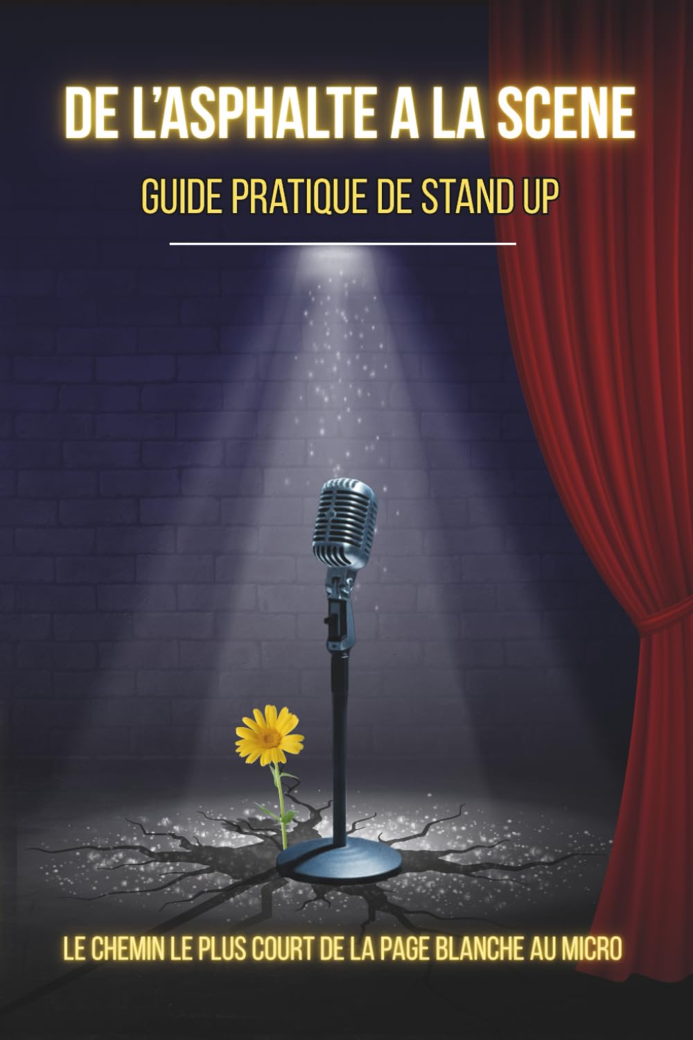 De l'Asphalte à la Scène: Guide pratique de stand up