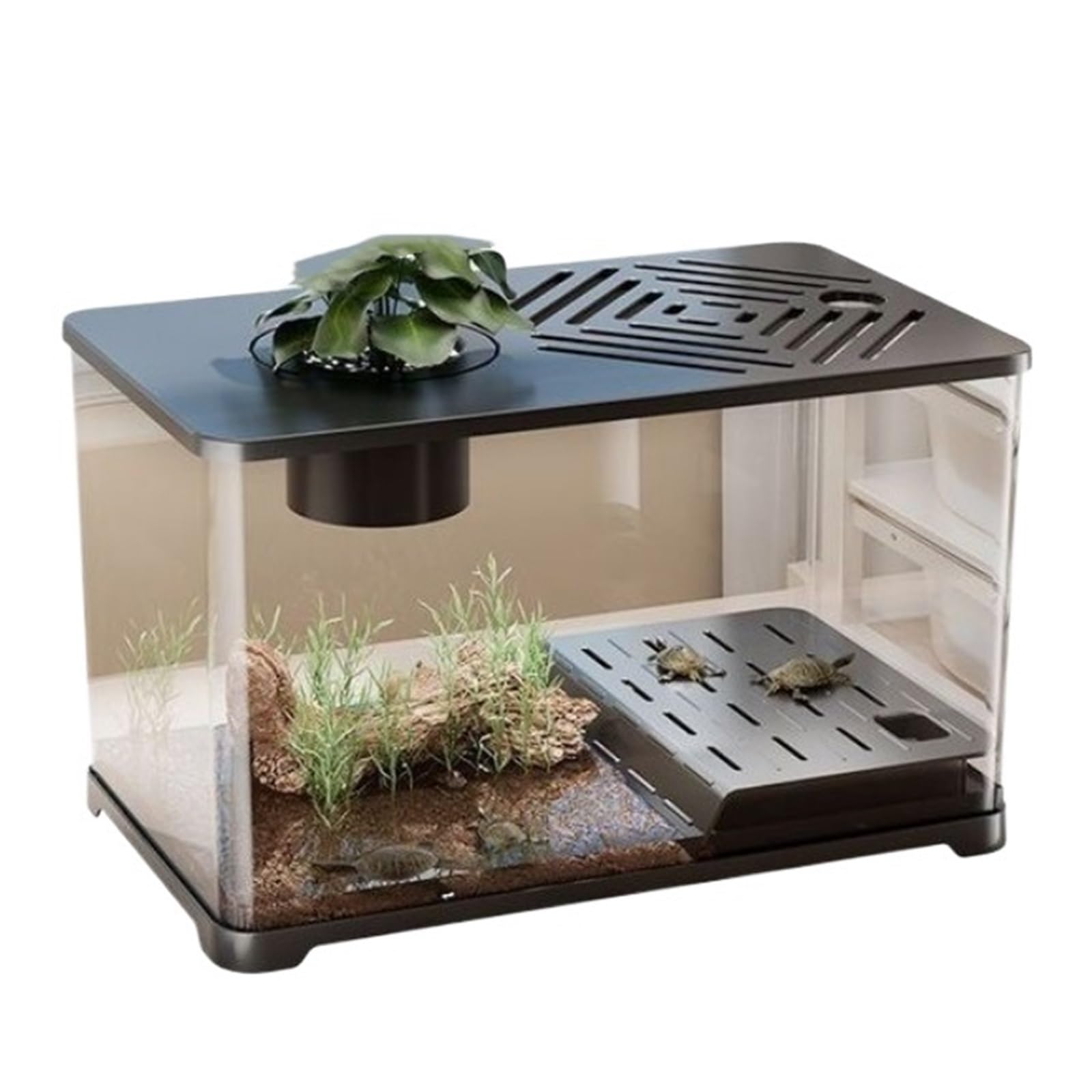 Siedlisko terrarium Ekologiczne zagospodarowanie terenu w zbiorniku do hodowli żółwi z pokrywą, małą separacją na sucho i mokro Terrarium akwariowe(Czarny)