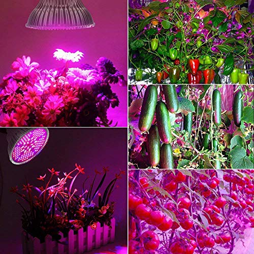 Highydroled ZW0190-00-0 100W Led Grow Light Bulb Full Spectrum,Plant Light Bulb With 150 Leds For Indoor Plants,E26/E27 Socket,Grow Lamp thumb #2