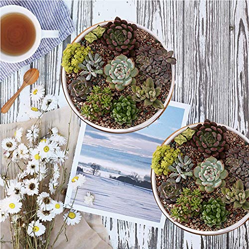 Zoutog Succulent Pots, 6 Inch White Ceramic Flower Planter Pot With Bamboo Tray, Pack Of 2 - Plants Not Included #TOP4