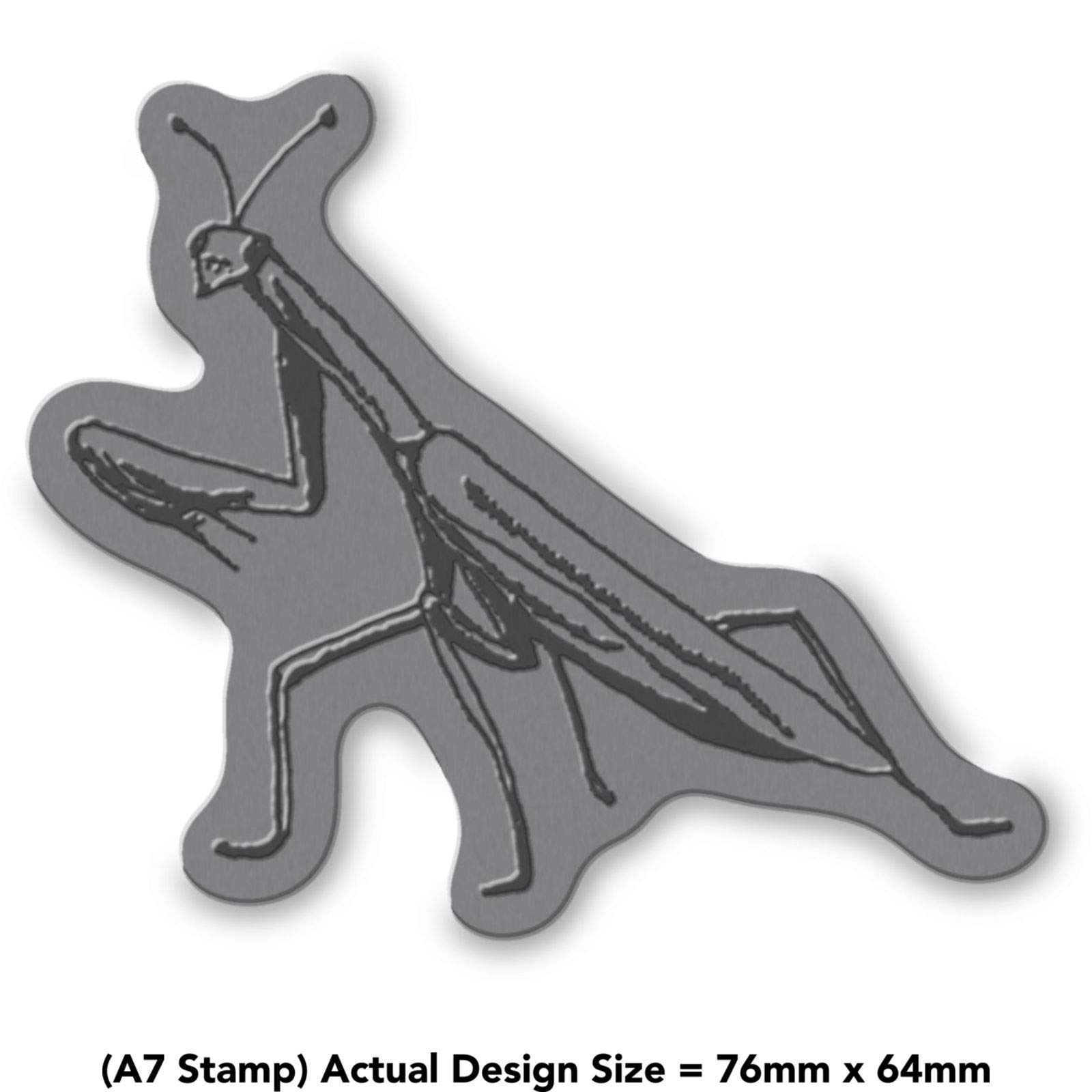 'Praying Mantis' Rubber Stamp - Unmounted Design for Crafting & Scrapbooking, A7 (RS00032220)