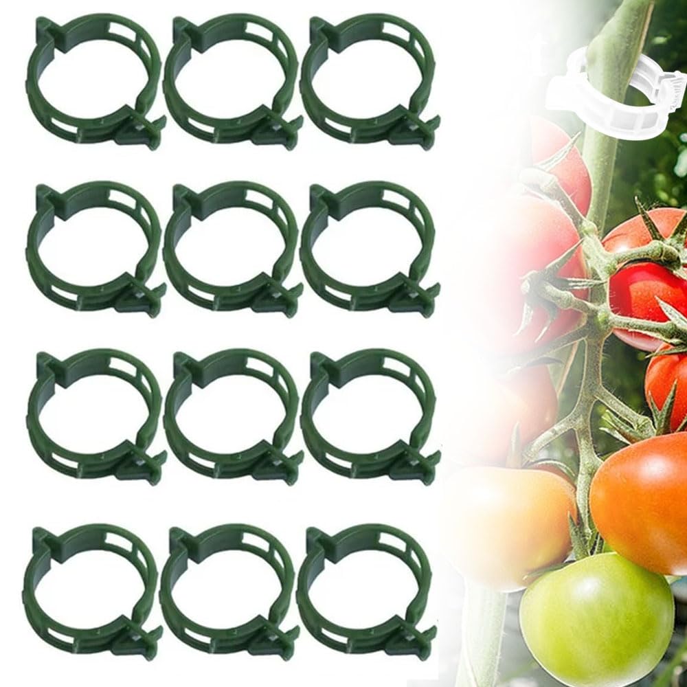 Ganci a rullo per pomodoro e clip per traliccio, 50 clip di supporto riutilizzabili per piante rampicanti, kit per traliccio in serra, ideale per pomodori, viti e crescita del giardino