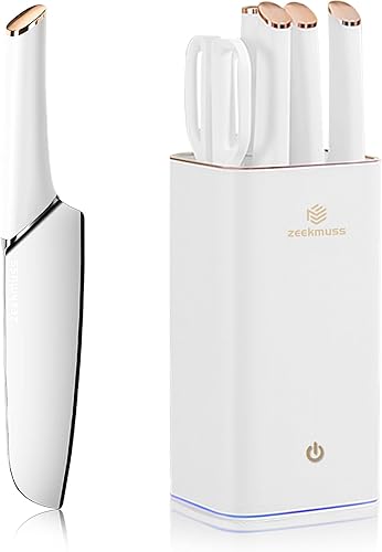 Juego de cuchillos para cocina con bloque, juego de cuchillos de bloque de acero inoxidable de 6 piezas con afilador, tijeras de cocina, soporte