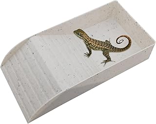 água tartaruga - Prato Água para Répteis e Prato Comida - Tigelas comida água tartaruga portáteis para répteis piscina répteis tartaruga para anfíbios Buniq