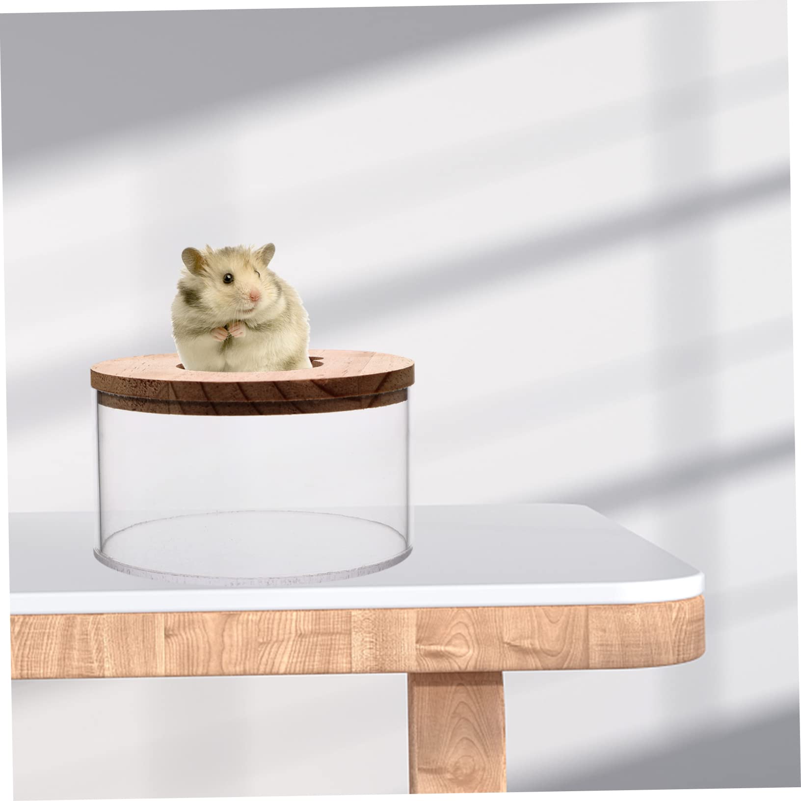 COLLBATH 2stücke Klarer Hamster Sandbad Behälter Mit Holzdeckel Transparente Für Chinchillas Und Kleine Haustiere Für Spiel Und Pflege Im Käfig