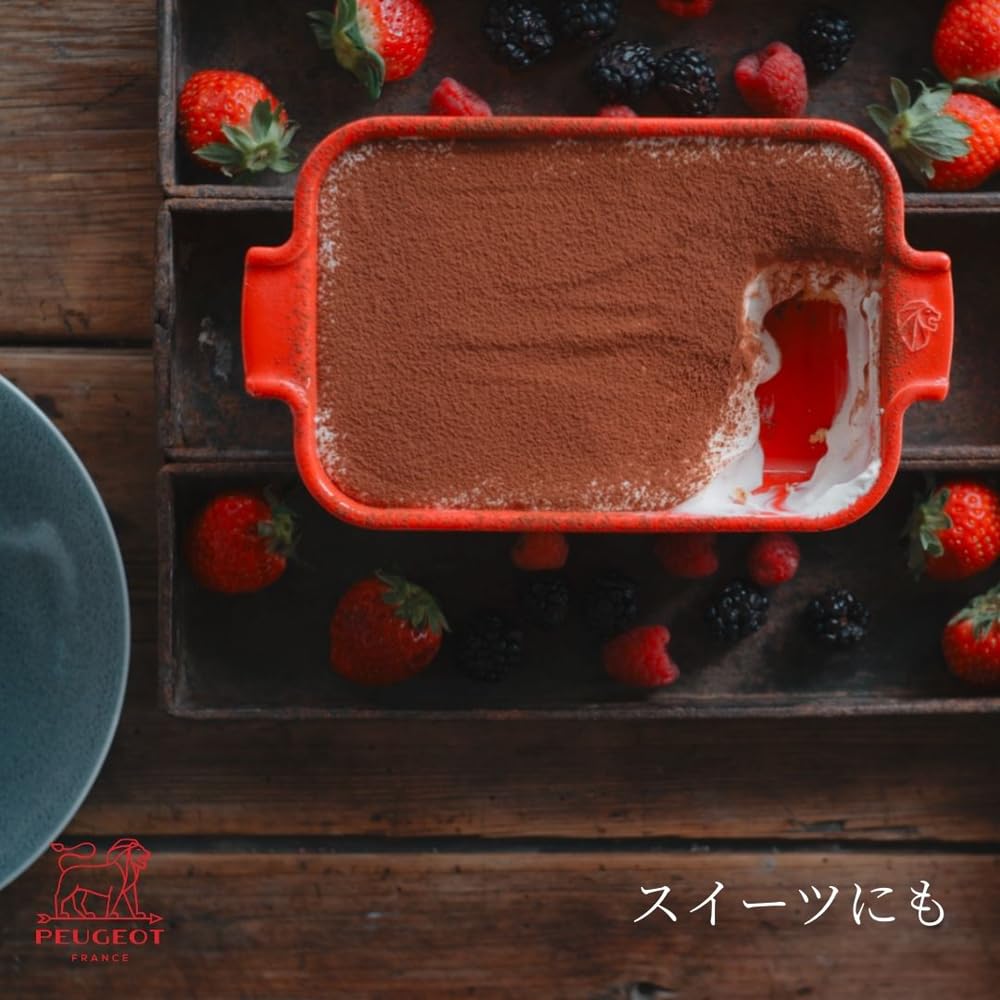 Amazon｜プジョー アポーリア 21cm オーブン皿 フランス製 洗いやすい