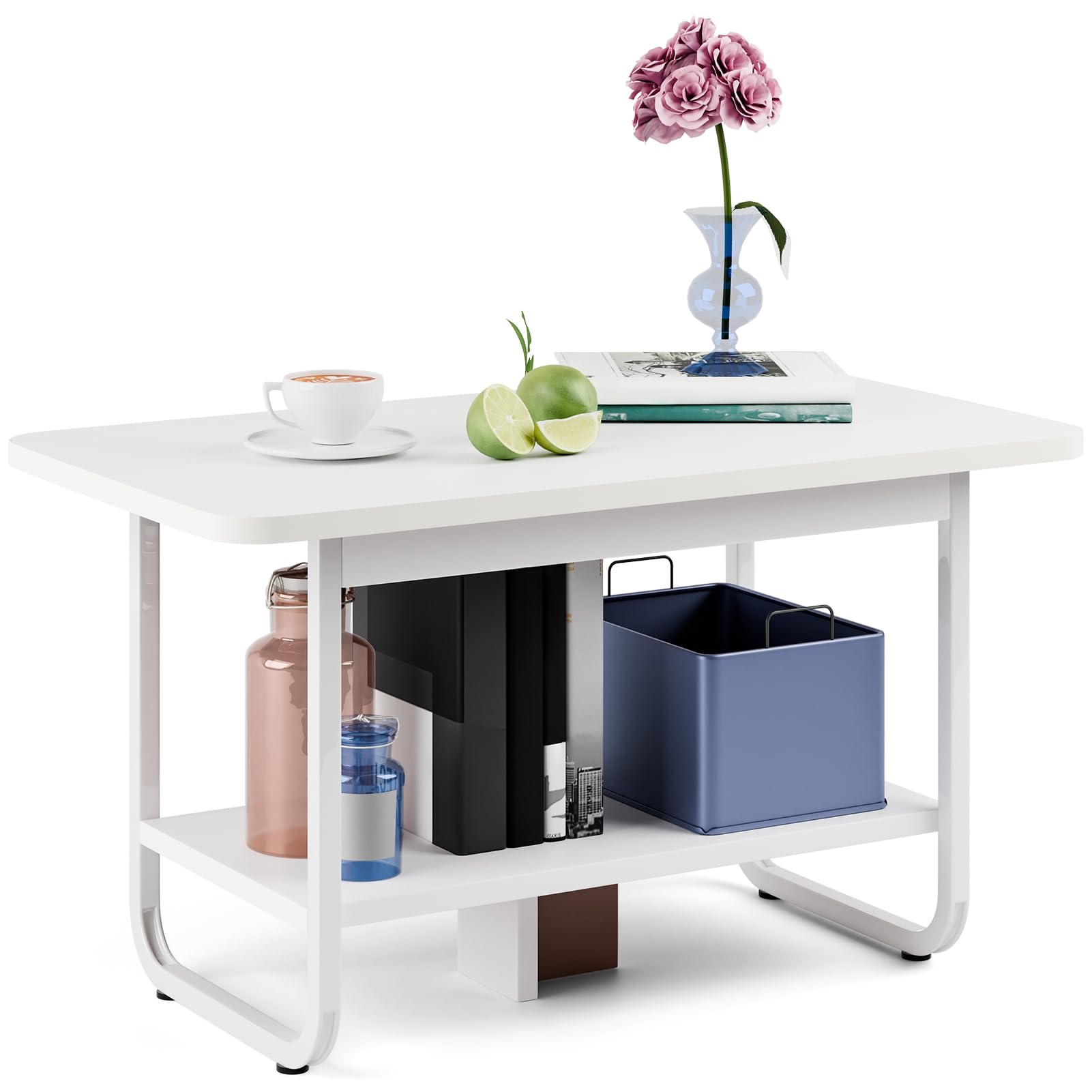 NEREIDS NET 2 Tier Coffee Table with Open Storage Shelf Tea Table for Living Room Double Layer Coffee