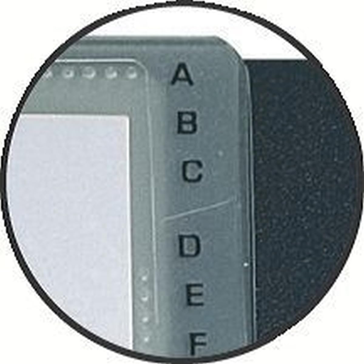 Exacompta - Rif. Exacard 75034E - Cartone da 5 portabiglietti da visita rimovibile a spirale - consegnato con 20 tasche staccabili - per 120 carte - chiusura con elastico - formato da classificare 85