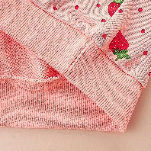 Image of Bumeex Girls Cotton Crewneck Cute Sweatshirts The Hedgehog and The Fox Pink 2-7T